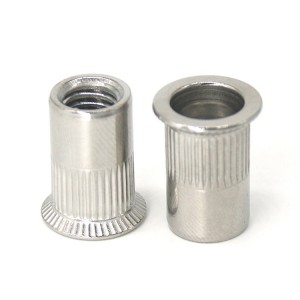 Stainless Steel A2-70 A4-80 SS201 SS304 SS316 DIN7340 Rivet Nuts