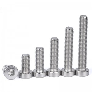 Stainless Steel A2-70 A4-80 SS201 SS304 SS316 DIN7984 Low Head Hex Socket Bolts