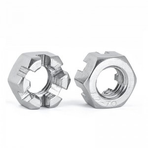 스테인레스 스틸 A2-70 A4-80 SS201 SS304 SS316 DIN935 Castle Nuts