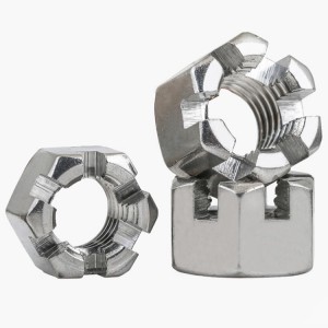 스테인레스 스틸 A2-70 A4-80 SS201 SS304 SS316 DIN935 Castle Nuts