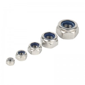 Stainless Steel A2-70 A4-80 SS201 SS304 SS316 DIN982 DIN985 Nylon Lock Nuts Nylock Nuts