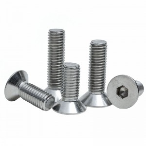 Stainless Steel SS201 SS304 SS316 A2-70 A4-80 DIN7991 CSK Flat Head Hex Socket Bolts