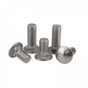 Stainless Steel SS201 SS304 SS316 A2-70 A4-80 DIN603 Carriage Bolts