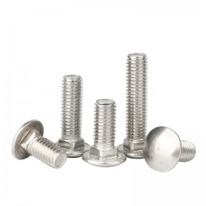 Stainless Steel SS201 SS304 SS316 A2-70 A4-80 DIN603 Carriage Bolts