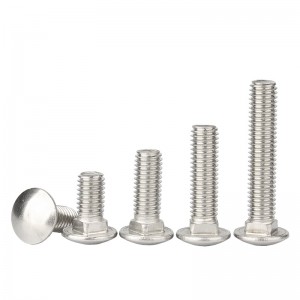 Stainless Steel SS201 SS304 SS316 A2-70 A4-80 DIN603 Carriage Bolts